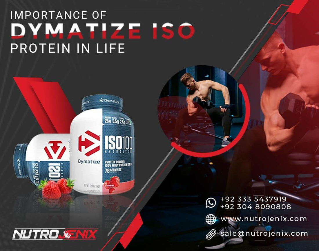 Importance of Dymatize ISO Protein in Life